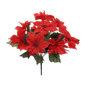 Red Poinsettia Bush x9 (Lot of 1) SALE ITEM